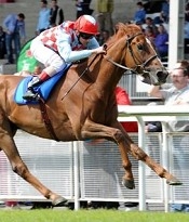 Red Cadeaux<br>Photo by Pat Healy Photography